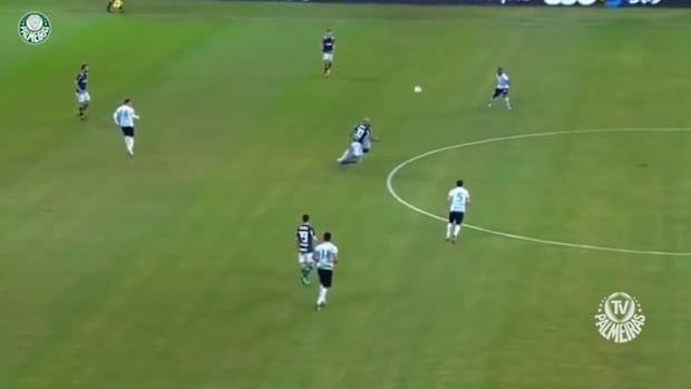 Felipe Melo's best Palmeiras moments